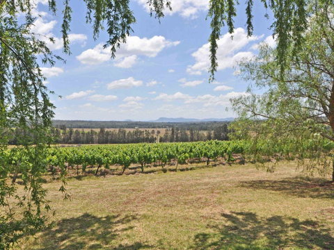 Beggars Bridge Vineyard Homestead W/ Pool + Wifi + Tennis + Vineyard - Northern Rivers Accommodation 3