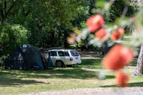 Belair National Park Holiday Park - Northern Rivers Accommodation 0