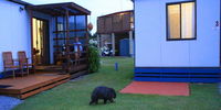 Book Kelso Accommodation Vacations Northern Rivers Accommodation Northern Rivers Accommodation