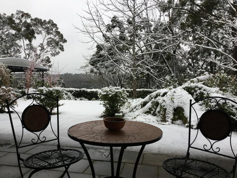 Black Cockatoo Retreat - Northern Rivers Accommodation 3
