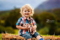 Blackwattle Farm