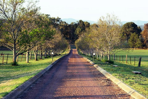 Blueberry Hill Vineyard Villa - Northern Rivers Accommodation 0