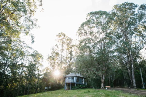Bluegums Cabins - Northern Rivers Accommodation 0