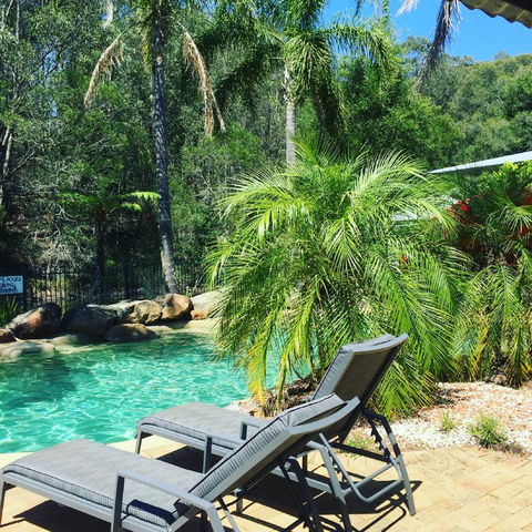 Bluegums Cabins - Northern Rivers Accommodation 3