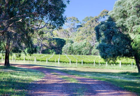 Tintagel Estate I Private Properties - Northern Rivers Accommodation 1