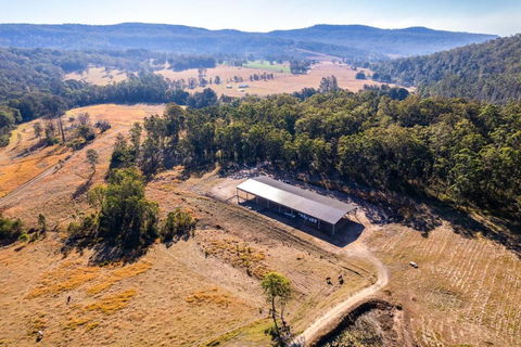 Tiny Creekside Cabin By Tiny Away - Northern Rivers Accommodation 3
