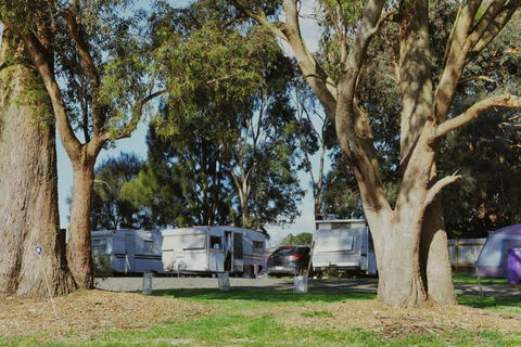 Woodmans Hill Motel - Northern Rivers Accommodation 2