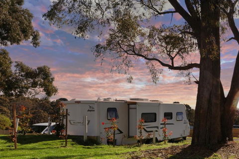 Woodmans Hill Motel - Northern Rivers Accommodation 3
