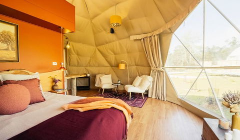 Wilder Tasmania - Northern Rivers Accommodation 3