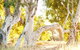Wooramel River Retreat - thumb 3
