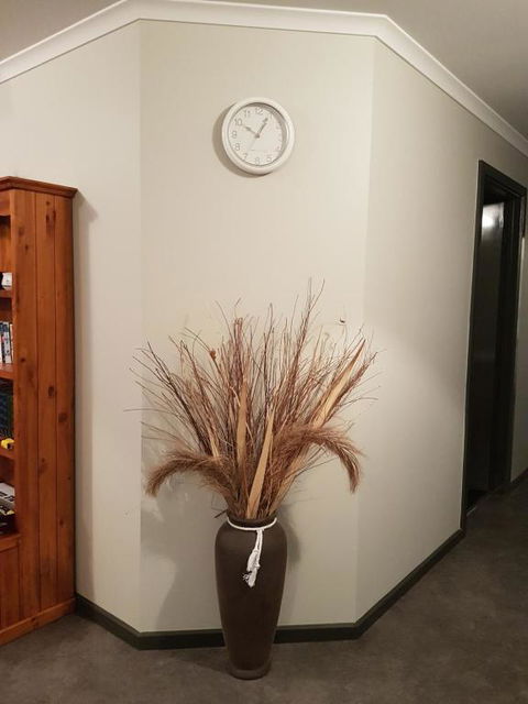Wudinna Farm View - Northern Rivers Accommodation 3