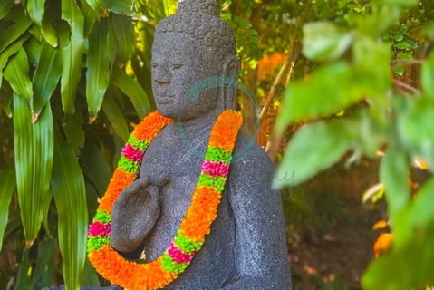 Zenhouse: 6-BR Balinese Tropical Oasis In Nightcliff Central - Northern Rivers Accommodation 3
