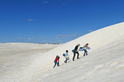 Private, Luxury Pinnacles Tour: Stargazing, Sand-boarding & Sightseeing - Northern Rivers Accommodation 4