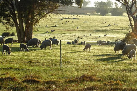 The Big Wave Rock (Private) Day Tour - Northern Rivers Accommodation 1