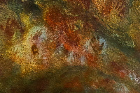 The Big Wave Rock (Private) Day Tour - Northern Rivers Accommodation 2