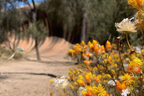 The Big Wave Rock (Private) Day Tour - Northern Rivers Accommodation 3