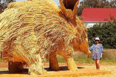 The Big Wave Rock (Private) Day Tour - Northern Rivers Accommodation 5