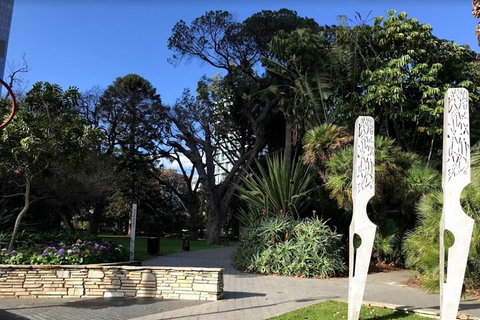 Perth Scavenger Hunt: Perched On A Swan - Northern Rivers Accommodation 2