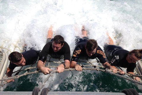 Cruise In Moreton Bay Marine Park And Moreton Island - Northern Rivers Accommodation 0