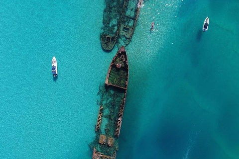 Cruise In Moreton Bay Marine Park And Moreton Island - Northern Rivers Accommodation 1