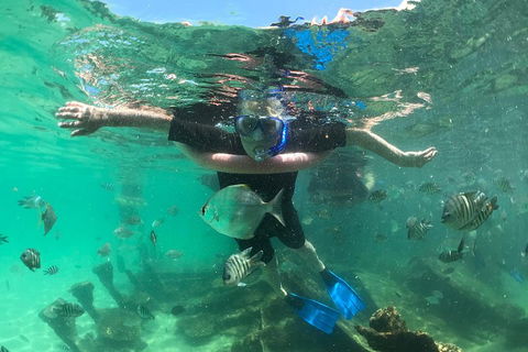 Cruise In Moreton Bay Marine Park And Moreton Island - Northern Rivers Accommodation 5