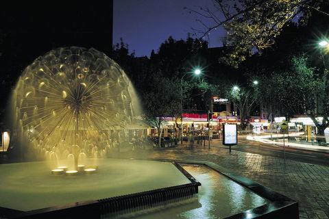 Private Tour: Sydney At Night - Northern Rivers Accommodation 1