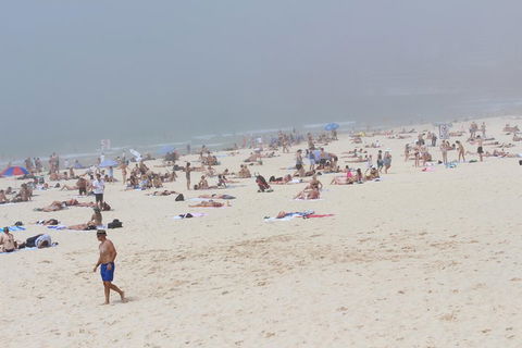 Sydney Shore Excursion: Half-Day Sydney City Highlights With Bondi Beach And Watsons Bay - Northern Rivers Accommodation 4