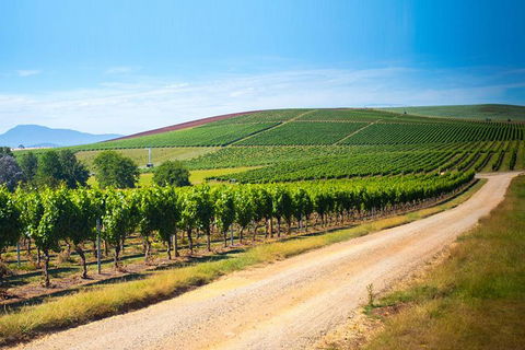 Full Day Tamar Valley Wine Tour - Northern Rivers Accommodation 1