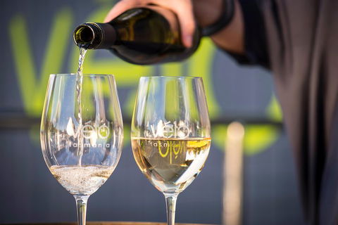Full Day Tamar Valley Wine Tour - Northern Rivers Accommodation 2