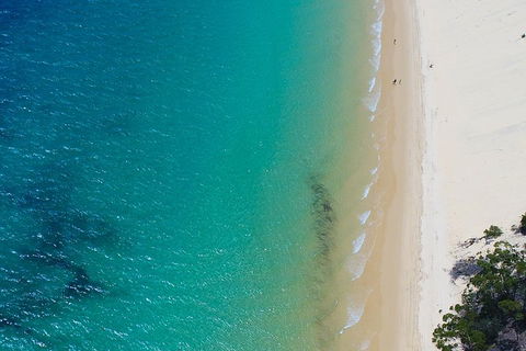 Private Tangalooma Wrecks Tour - Northern Rivers Accommodation 1