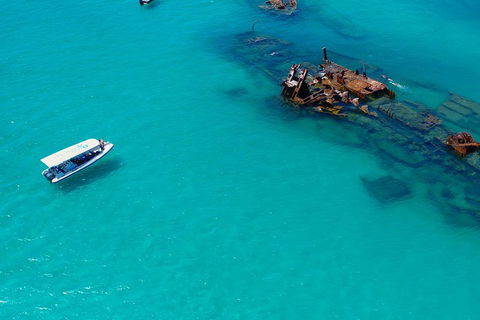 Private Tangalooma Wrecks Tour - Northern Rivers Accommodation 4