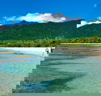 5-Day Best of Cairns with Daintree Kuranda and Great Barrier Reef - Northern Rivers Accommodation