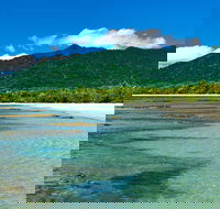8-Day Cairns Tour Great Barrier Reef Kuranda Daintree Rainforest - Northern Rivers Accommodation