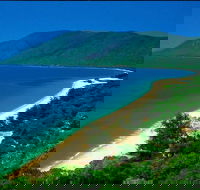 Cairns Reef and Rainforest Combo Daintree Rainforest and the Great Barrier Reef - Northern Rivers Accommodation