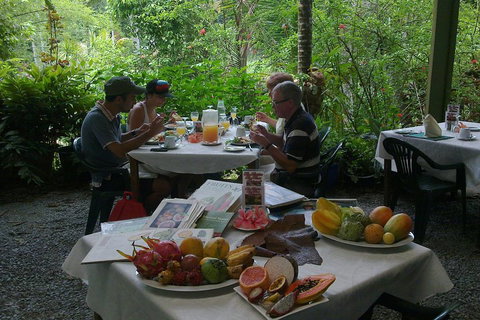 Cairns Reef And Rainforest Combo: Daintree Rainforest And The Great Barrier Reef - Northern Rivers Accommodation 3