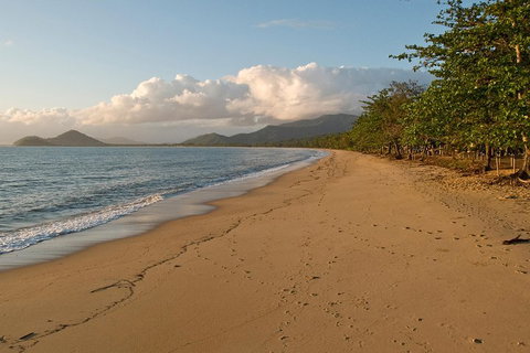 Cairns Reef And Rainforest Combo: Daintree Rainforest And The Great Barrier Reef - Northern Rivers Accommodation 4