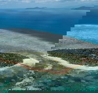 4-Day Cairns with Great Barrier Reef and Daintree Rainforest - Northern Rivers Accommodation