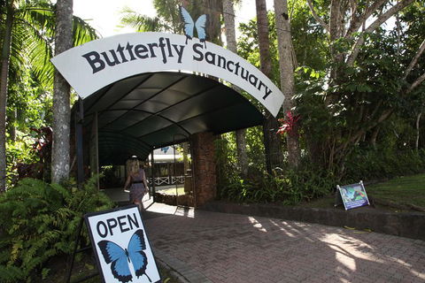Kuranda Day Trip From Port Douglas Upgrade To Skyrail & Scenic Train Available - Northern Rivers Accommodation 0