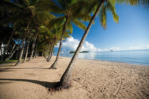 Kuranda Day Trip From Port Douglas Upgrade To Skyrail & Scenic Train Available - Northern Rivers Accommodation 1