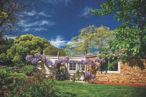 McLaren Vale Winery Small Group Tour With Wine Tasting And Lunch - Northern Rivers Accommodation 2