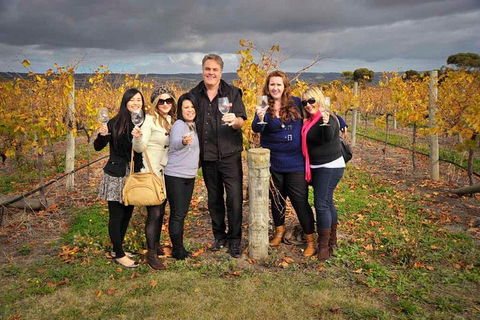 McLaren Vale Winery Small Group Tour With Wine Tasting And Lunch - Northern Rivers Accommodation 3