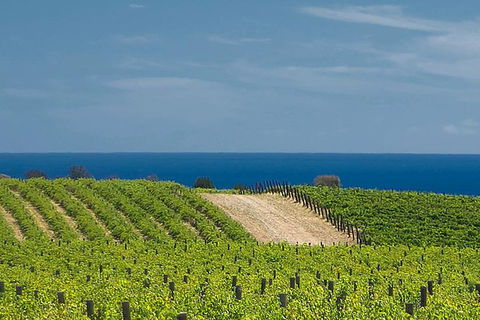 McLaren Vale Winery Small Group Tour With Wine Tasting And Lunch - Northern Rivers Accommodation 4