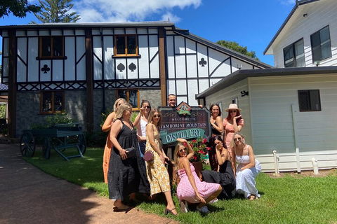 Mt Tamborine ScenicRim Deluxe Wine Tasting And Sightseeeing Tour - Northern Rivers Accommodation 0