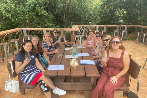 Mt Tamborine ScenicRim Deluxe Wine Tasting And Sightseeeing Tour - Northern Rivers Accommodation 2