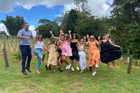 Mt Tamborine ScenicRim Deluxe Wine Tasting And Sightseeeing Tour - Northern Rivers Accommodation 4