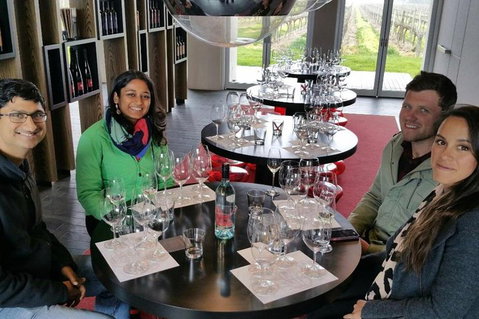 Luxury Private Mclaren Vale Wine Tour - Northern Rivers Accommodation 1