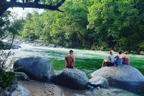 Afternoon Half-Day Daintree Rainforest And River Tour - Northern Rivers Accommodation 0