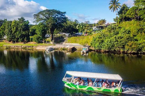Afternoon Half-Day Daintree Rainforest And River Tour - Northern Rivers Accommodation 1