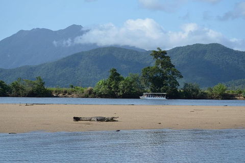 Afternoon Half-Day Daintree Rainforest And River Tour - Northern Rivers Accommodation 2