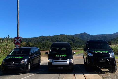 Afternoon Half-Day Daintree Rainforest And River Tour - Northern Rivers Accommodation 4